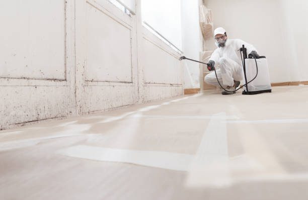 24/7 Emergency Mold Remediation experts in Winterville, NC